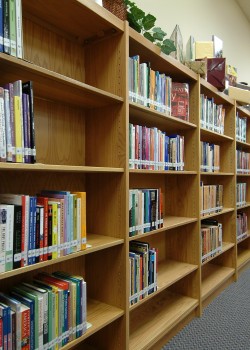 Wall-Library-Shelving